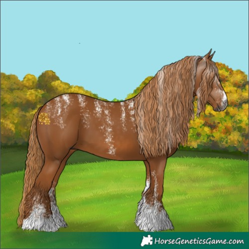 Horse Color:Powder White Gray Chestnut 