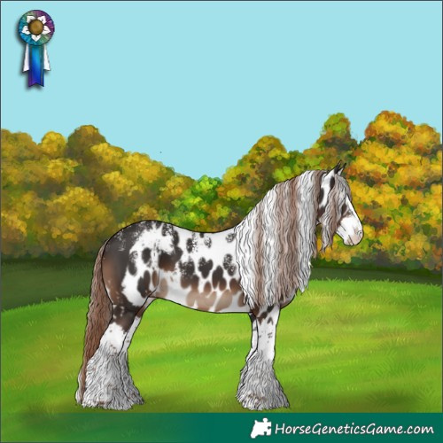Horse Color:Powder White Liver Chestnut Splash Skewed Appaloosa