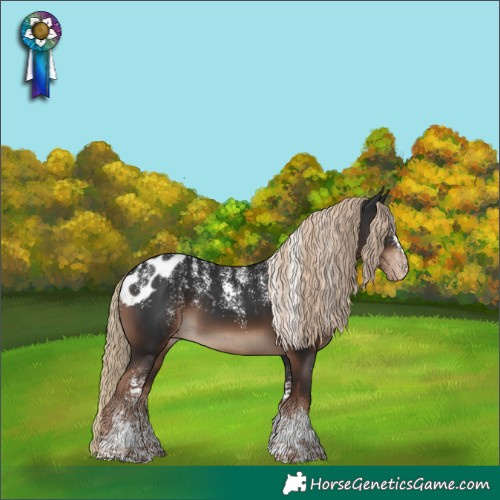Horse Color:Powder White Liver Chestnut Skewed Appaloosa 