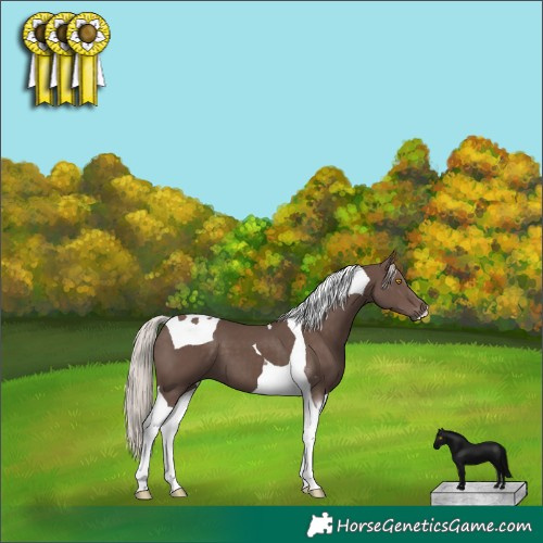Horse Color:Silver Black Tobiano 