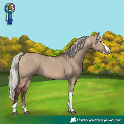 Horse Color:Powder White Silver Brown Dun Splash Tobiano Rabicano 
