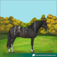 Horse Color:Powder White Brown