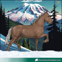 Horse Color:Silver Black