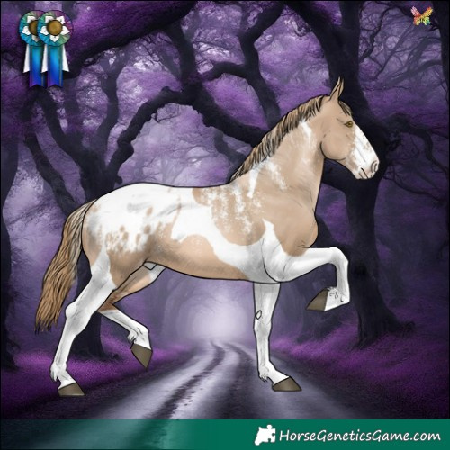 Horse Color:Powder White Liver Red Dun Pearl Tobiano Blanket 