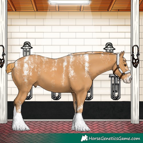 Horse Color:Powder White Chestnut 