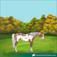 Horse Color:Powder White Silver Bay Frame