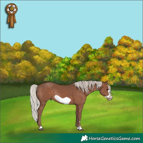 Horse Color:Silver Black Frame Rabicano 