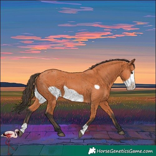 Horse Color:Bay Frame 