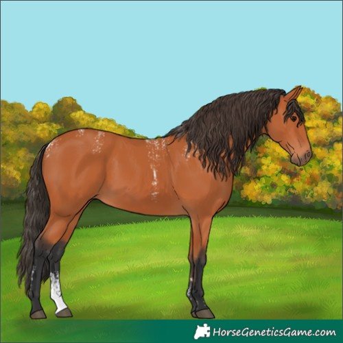 Horse Color:Powder White Bay
