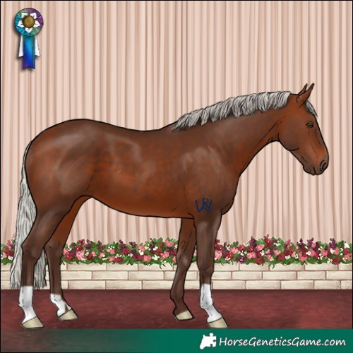 Horse Color:Silver Brown