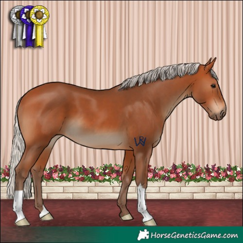 Horse Color:Silver Bay