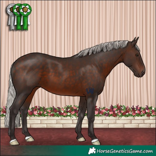 Horse Color:Silver Brown