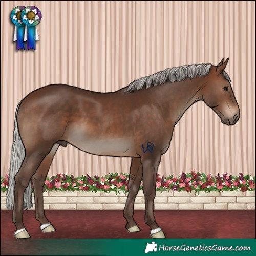 Horse Color:Silver Brown