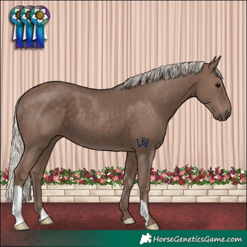 Horse Color:Silver Black 