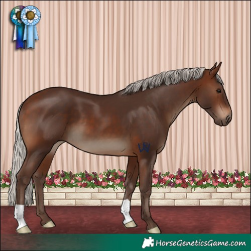 Horse Color:Silver Brown 