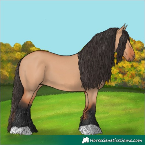 Horse Color:Bay Dun