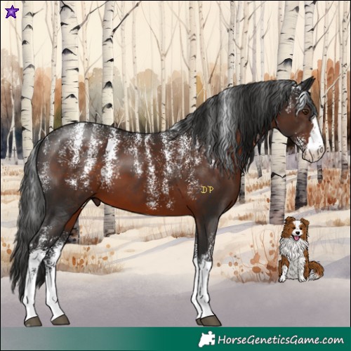 Horse Color:Powder White Liver Chestnut 