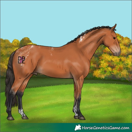 Horse Color:Powder White Bay 
