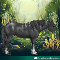 Horse Color:Powder White Black