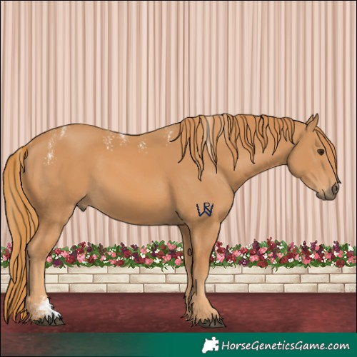 Horse Color:Powder White Chestnut 