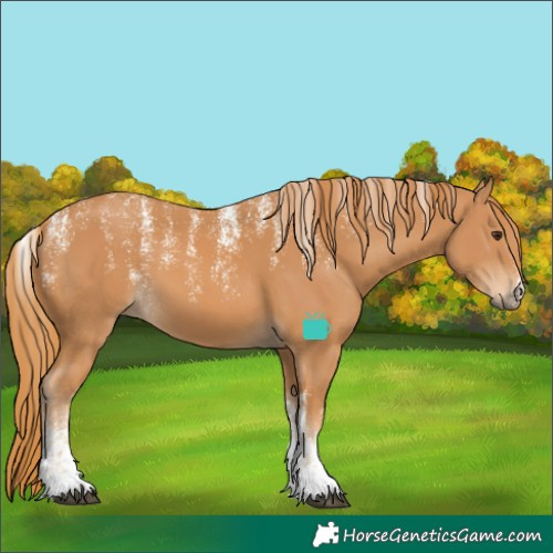 Horse Color:Powder White Chestnut