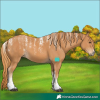 Horse Color:Powder White Chestnut 