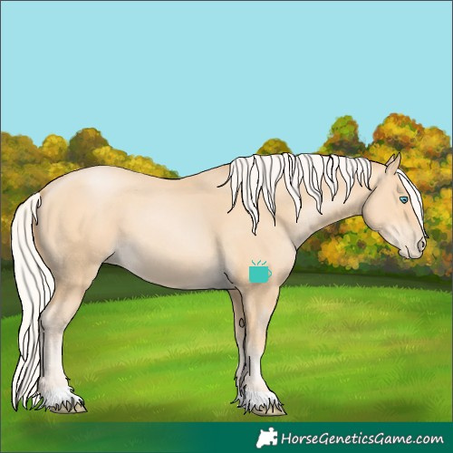 Horse Color:Silver Buckskin Pearl