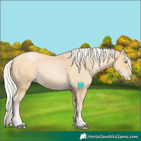 Horse Color:Silver Buckskin Pearl 