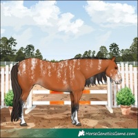 Horse Color:Powder White Bay