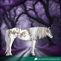 Horse Color:Powder White White Spotted Silver Grullo Appaloosa Rabicano