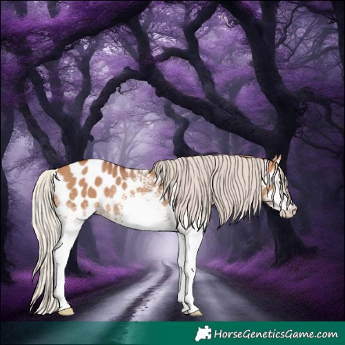 Horse Color:White Spotted Silver Bay Dun Appaloosa Rabicano