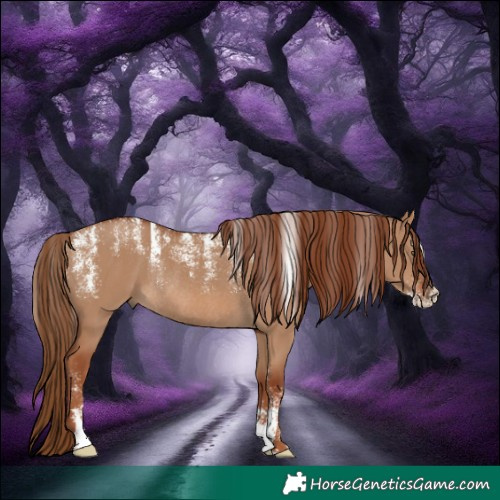 Horse Color:Powder White Red Dun Rabicano