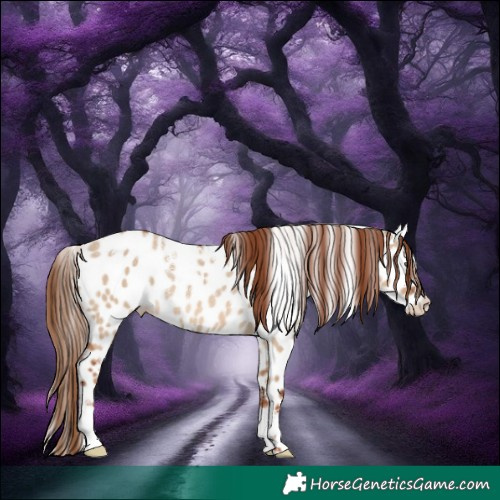 Horse Color:Powder White Red Dun Appaloosa Rabicano