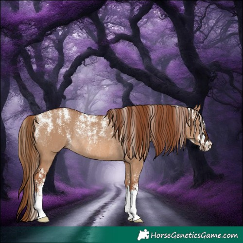 Horse Color:Powder White Red Dun Rabicano