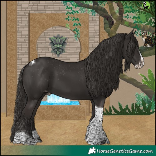 Horse Color:Liver Chestnut Splash Tobiano Skewed Appaloosa