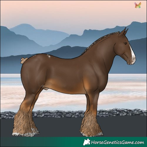 Horse Color:Chocolate Palomino Splash Skewed LP Spotted