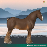 Horse Color:Chocolate Palomino Splash Skewed LP Spotted