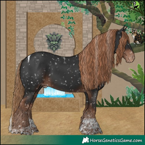 Horse Color:Liver Chestnut Tobiano Skewed Appaloosa