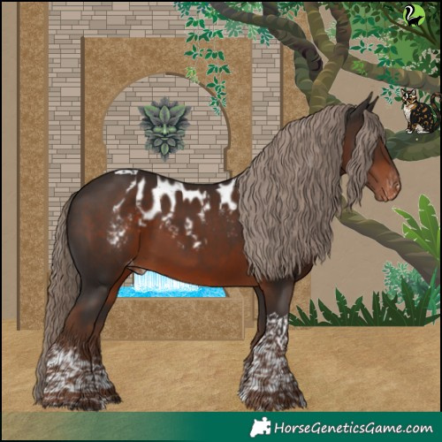 Horse Color:Liver Chestnut Tobiano Skewed Appaloosa 