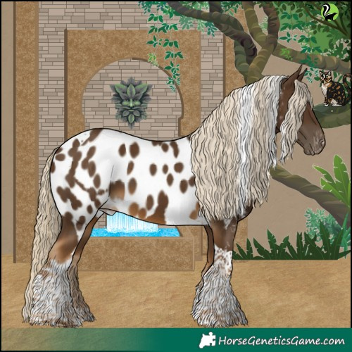 Horse Color:Chocolate Palomino Tobiano Skewed Appaloosa