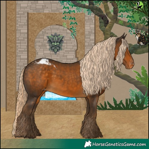 Horse Color:Chocolate Palomino Skewed Appaloosa 
