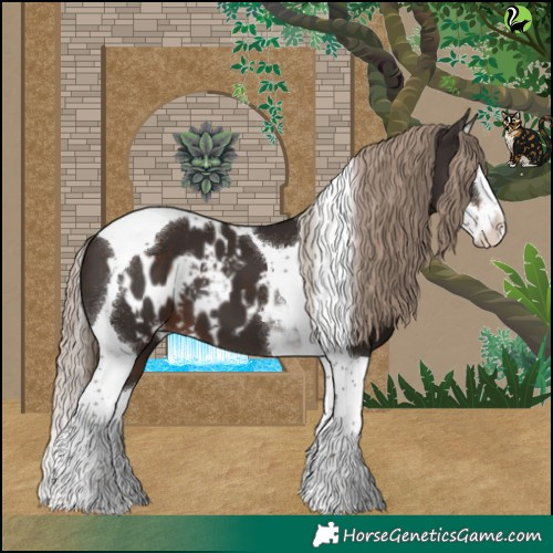 Horse Color:Liver Chestnut Splash Tobiano Skewed Appaloosa