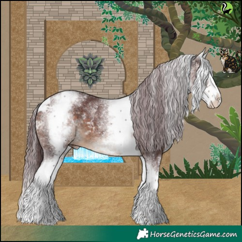 Horse Color:White Spotted Chocolate Brown Splash Skewed LP Spotted 