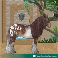 Horse Color:White Spotted Chocolate Brown Tobiano Skewed LP Spotted 