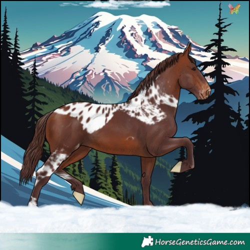 Horse Color:Chocolate Bay Skewed LP Spotted