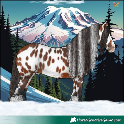 Horse Color:Bay Splash Tobiano Skewed LP Spotted