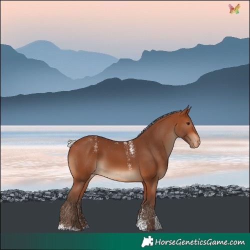 Horse Color:Powder White Silver Brown Skewed LP Spotted