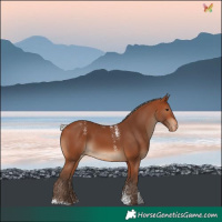 Horse Color:Powder White Silver Brown Skewed LP Spotted