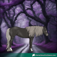 Horse Color:Gray Silver Black Sabino Tobiano 