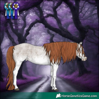 Horse Color:White Spotted Liver Red Dun Roan